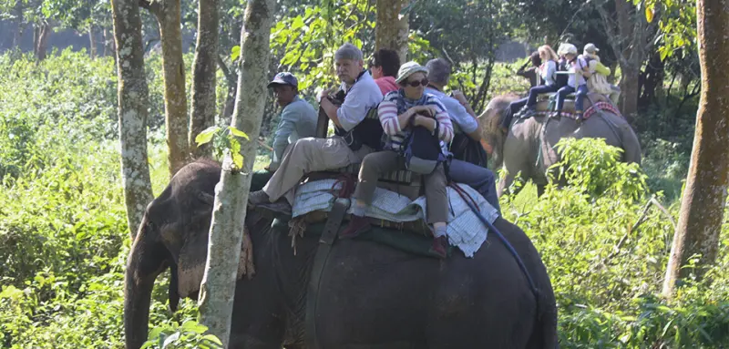 Annapurna Trek and Jungle Safari gallery image